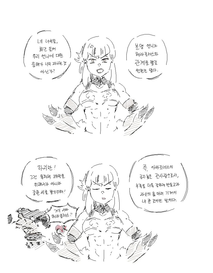 페이트) 히폴리테 혼신의 실드 쳐주는 펜테실레이아