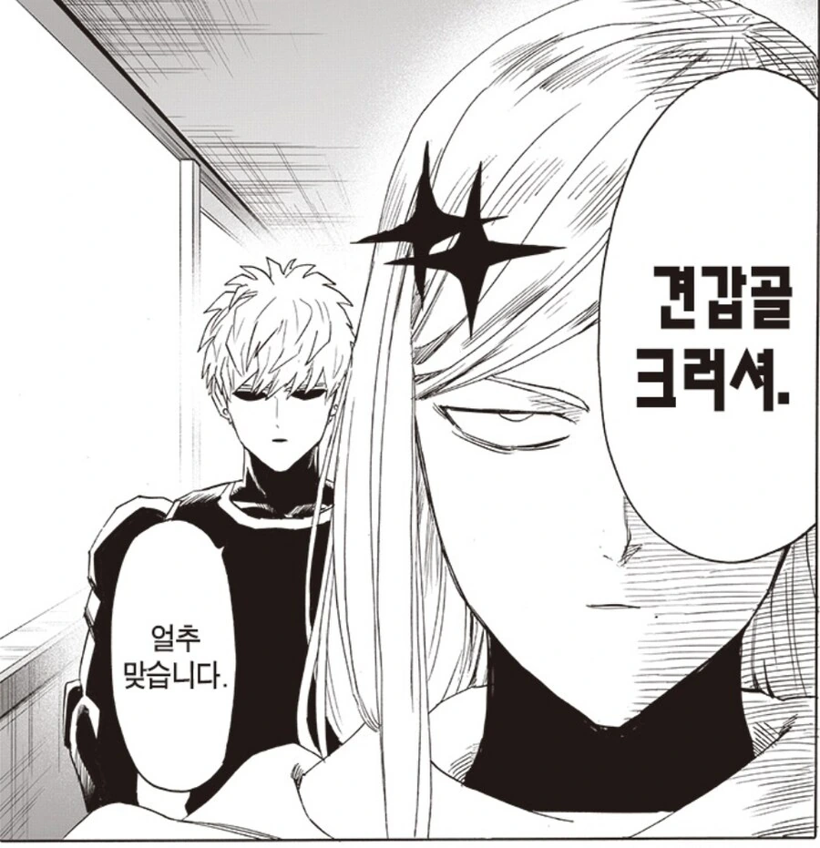 원펀맨) 사이타마와 친분이 있는 S급들 5명 - 이미지 7