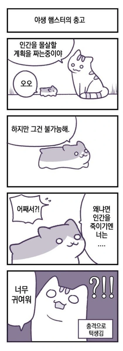 고양이가 지구정복하려는 만화.manwha - 이미지 2