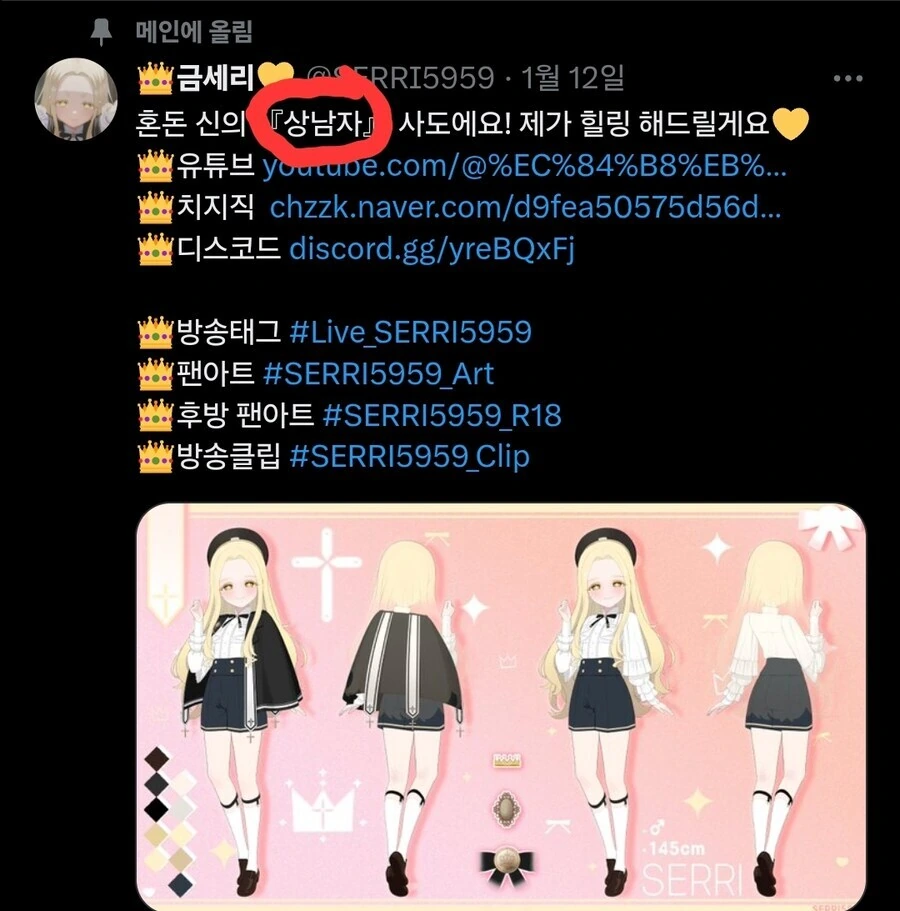 버큐버) 뱃살이 나와 일레그를 코스프레한 어느 버튜버 - 이미지 3