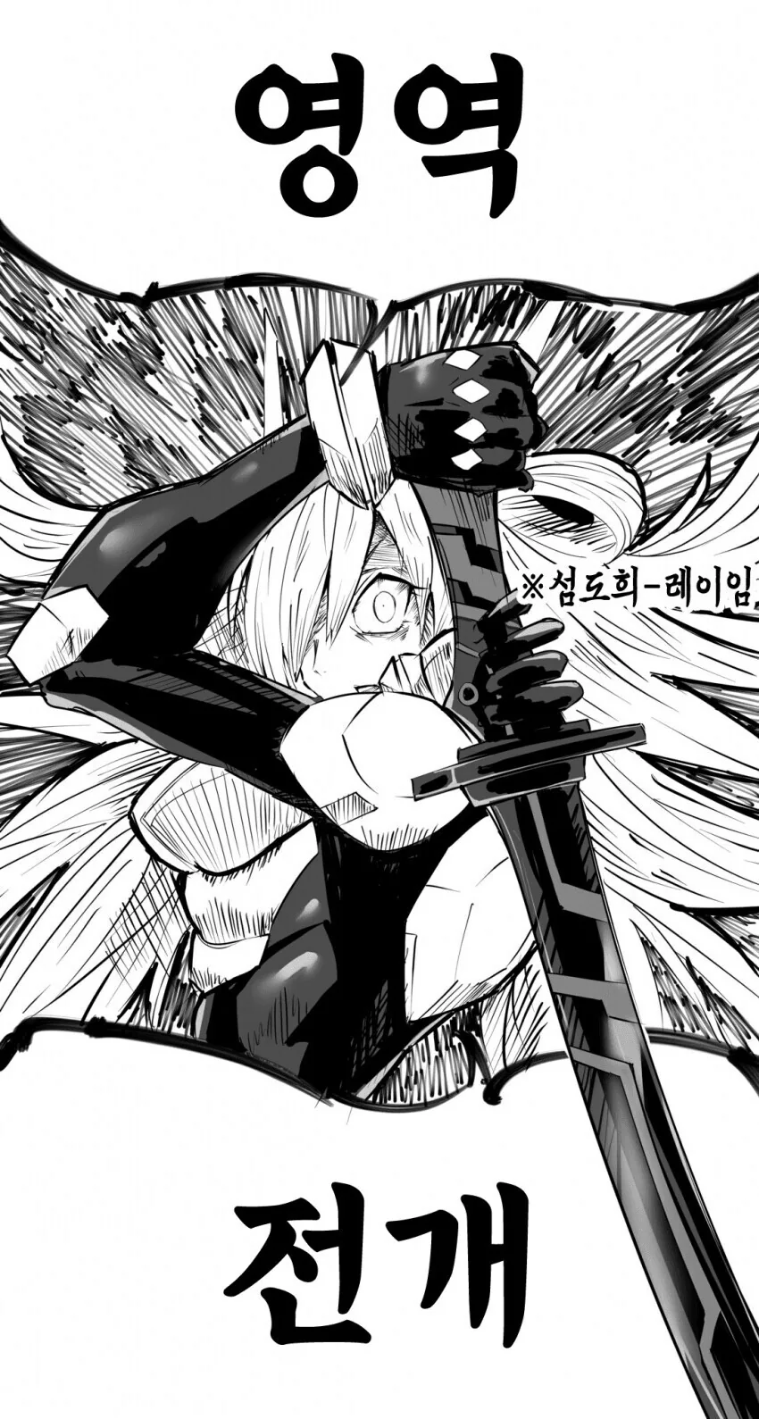 유희왕)영 역 전 개