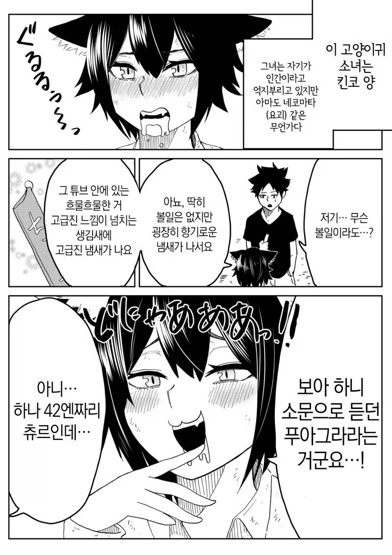 자기가 결혼 가능한 인간 ㅇㅋ이라고 주장하는 고양이 만화 - 이미지 7