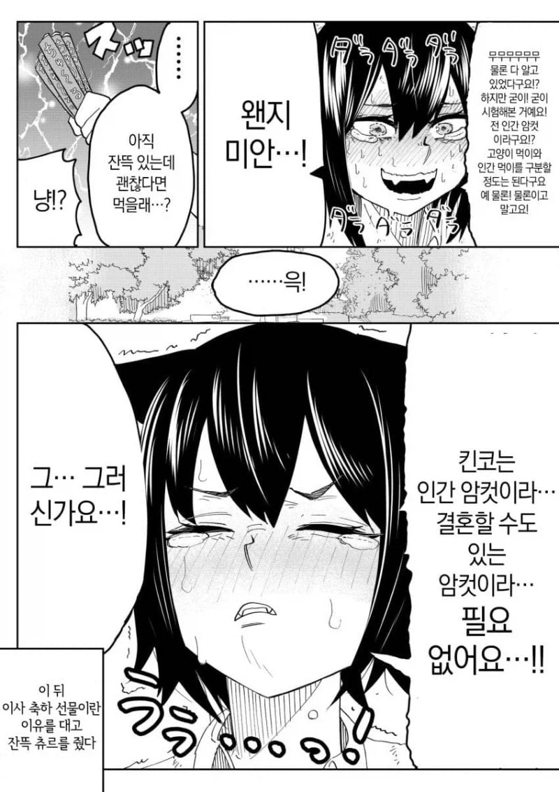 자기가 결혼 가능한 인간 ㅇㅋ이라고 주장하는 고양이 만화 - 이미지 8