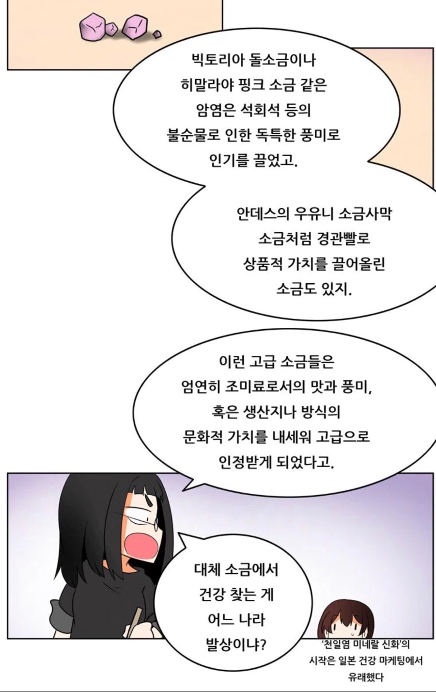 천일염의 우수성 만화 - 이미지 6
