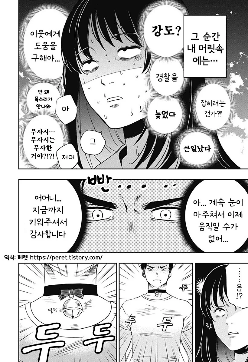 인간이 된 고양이랑 동거하는 만화 - 이미지 3