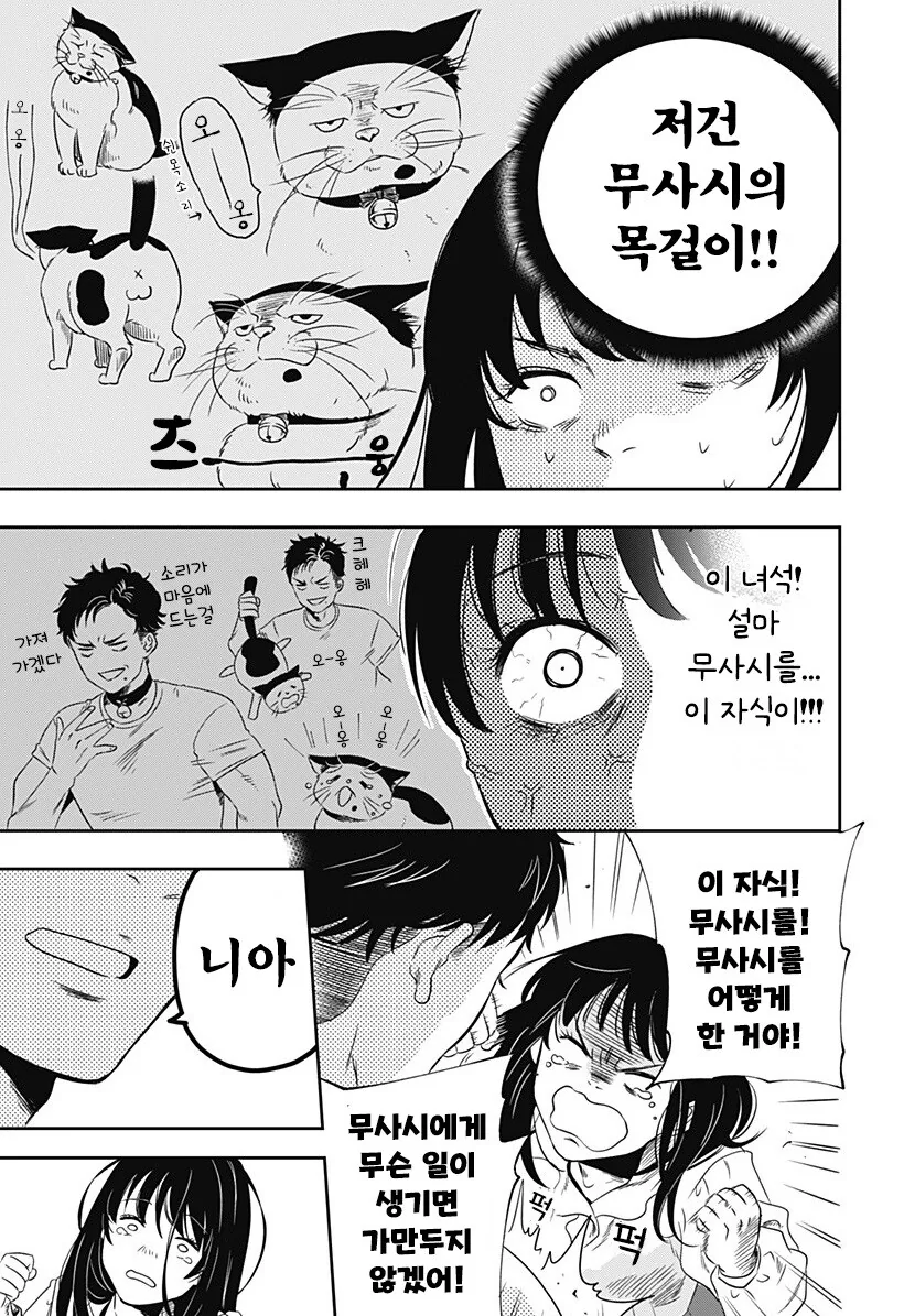 인간이 된 고양이랑 동거하는 만화 - 이미지 4