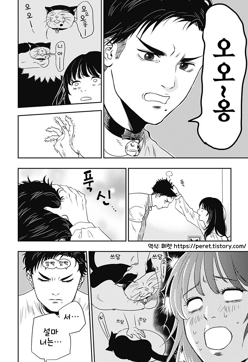 인간이 된 고양이랑 동거하는 만화 - 이미지 5