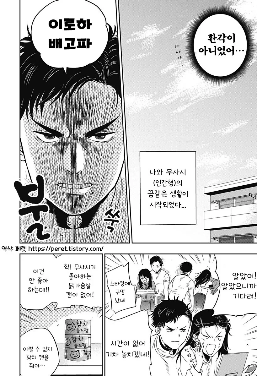인간이 된 고양이랑 동거하는 만화 - 이미지 11