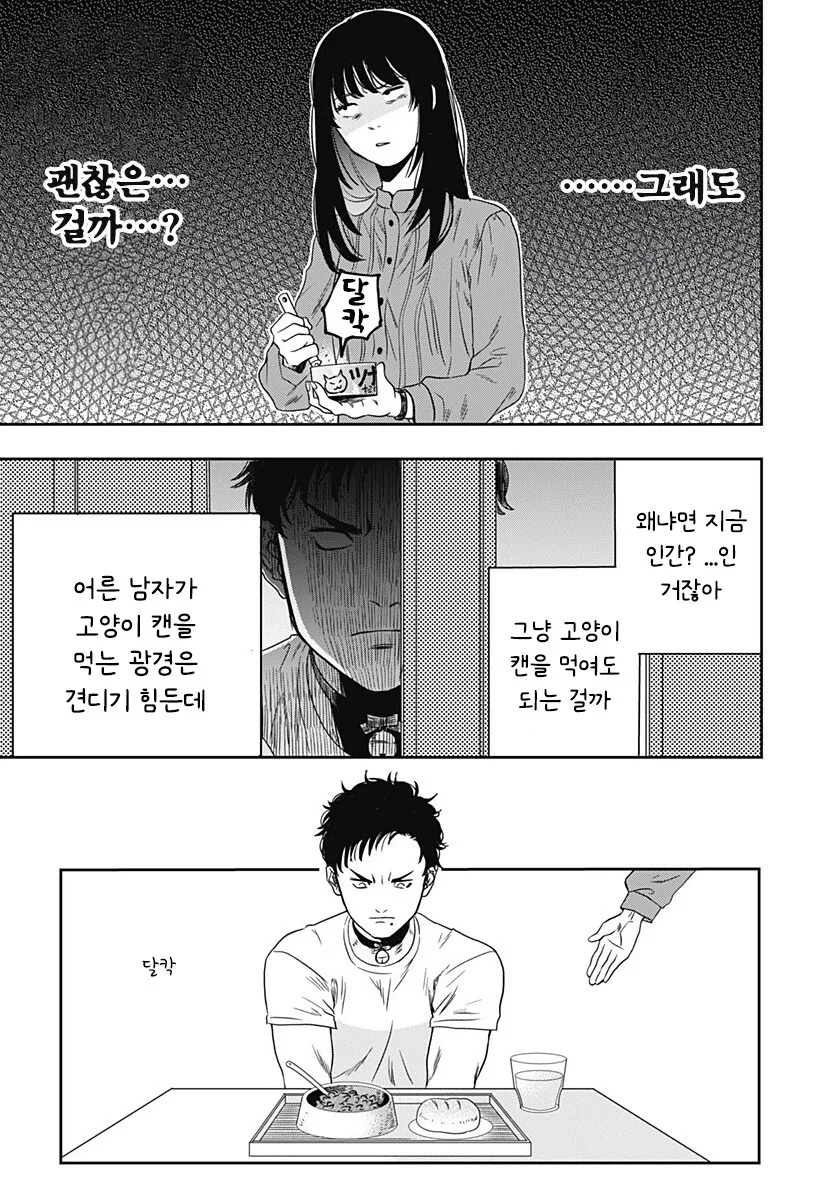인간이 된 고양이랑 동거하는 만화 - 이미지 12