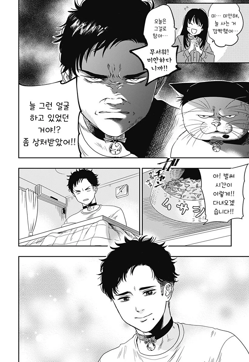 인간이 된 고양이랑 동거하는 만화 - 이미지 13