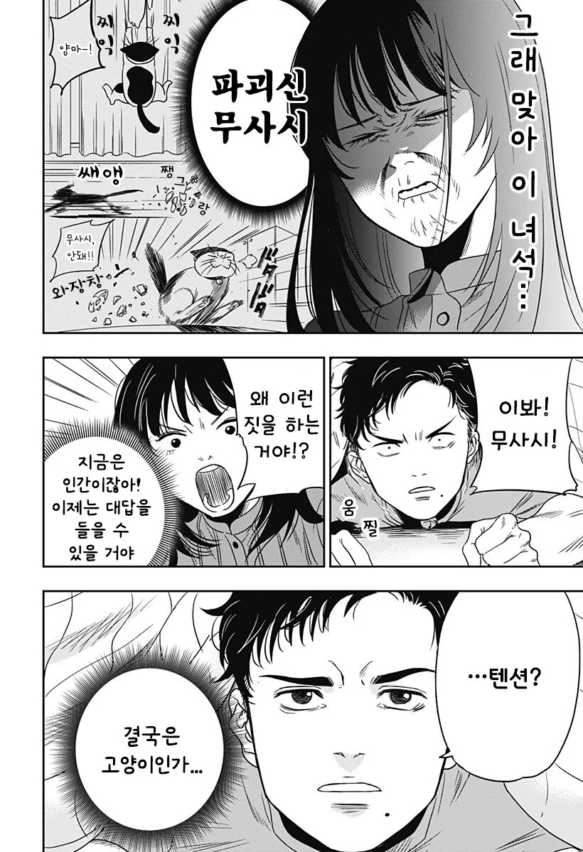 인간이 된 고양이랑 동거하는 만화 - 이미지 15