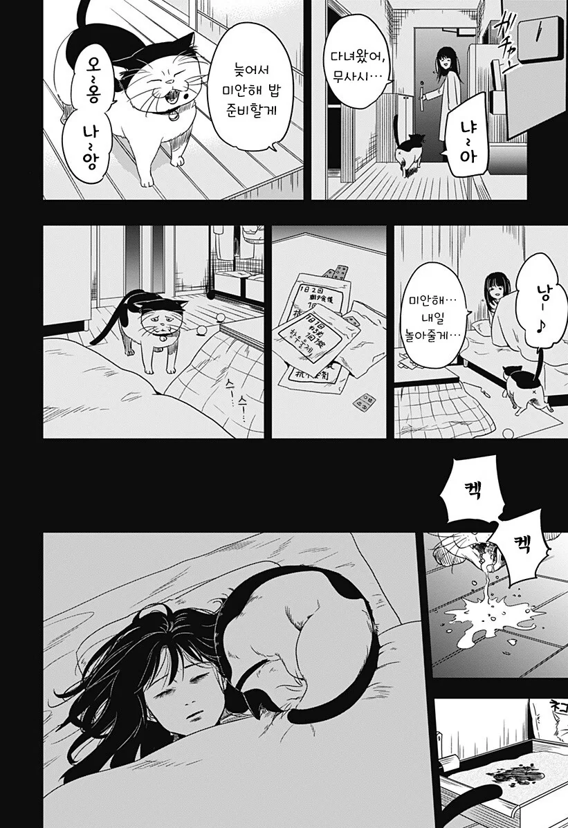 인간이 된 고양이랑 동거하는 만화 - 이미지 33