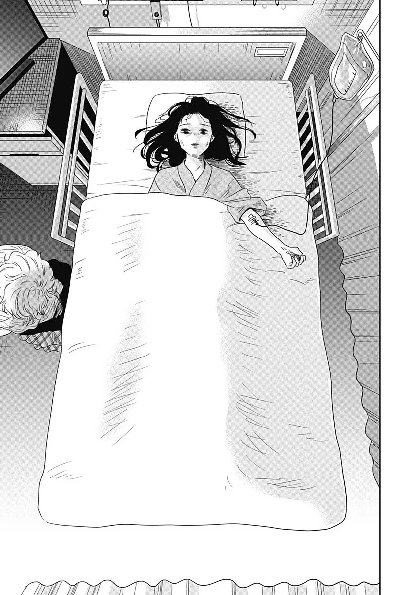 인간이 된 고양이랑 동거하는 만화 - 이미지 44