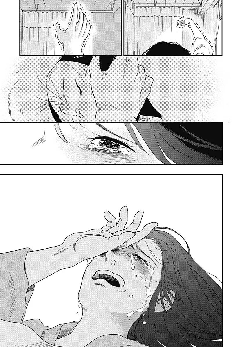 인간이 된 고양이랑 동거하는 만화 - 이미지 46