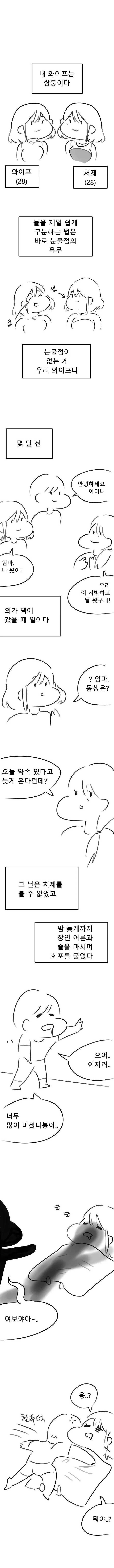 와이프의 여동생이 ㅇㅅ사진을 보내오는 Manhwa.