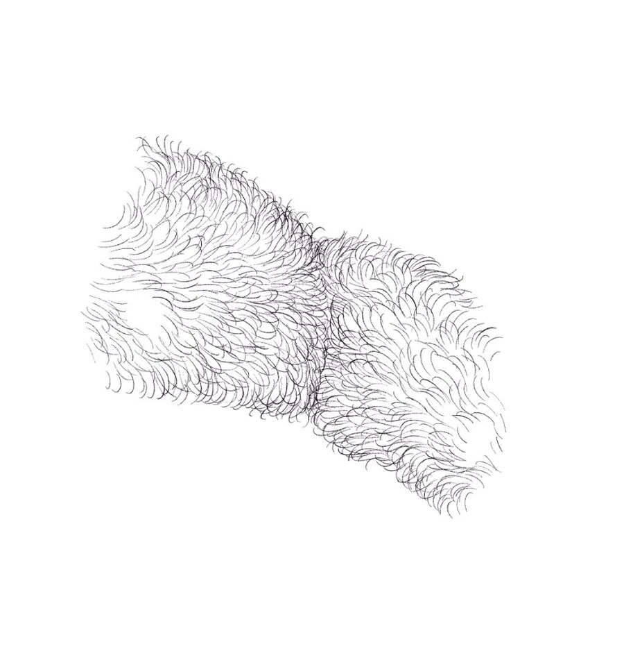 음모 잘그리는 작가 - 이미지 2