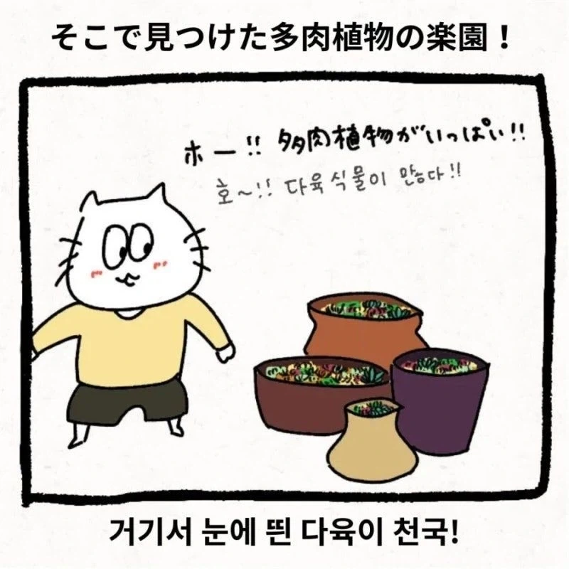 한국 시댁에 와서 이것저것 가져가는.Manhwa - 이미지 2
