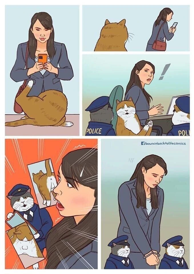 ㅅㅊㅎ 당하는 만화