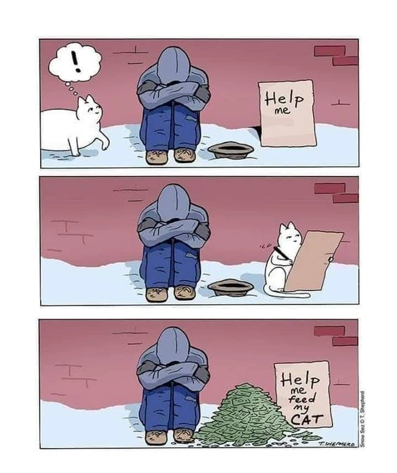 지나가던 고양이 만화.manhwa