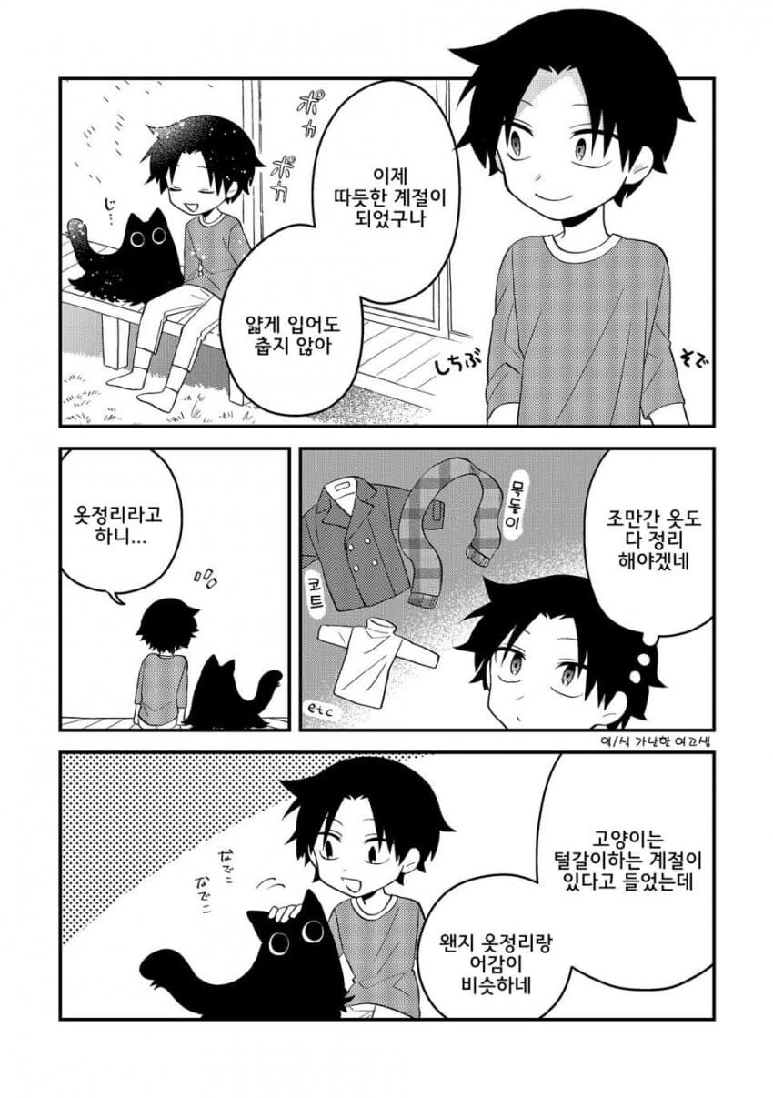 고양이 빗질해주는 만화