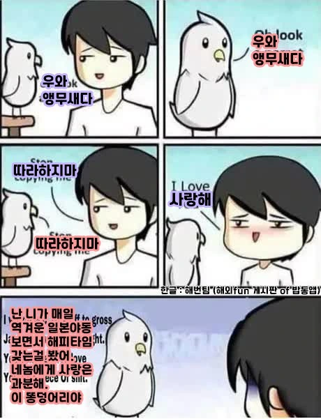 앵무새에게 말 가르치는.manhwa