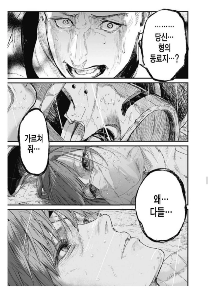 마왕을 쓰러뜨리고 돌아오는 용사일행 만화 - 이미지 29