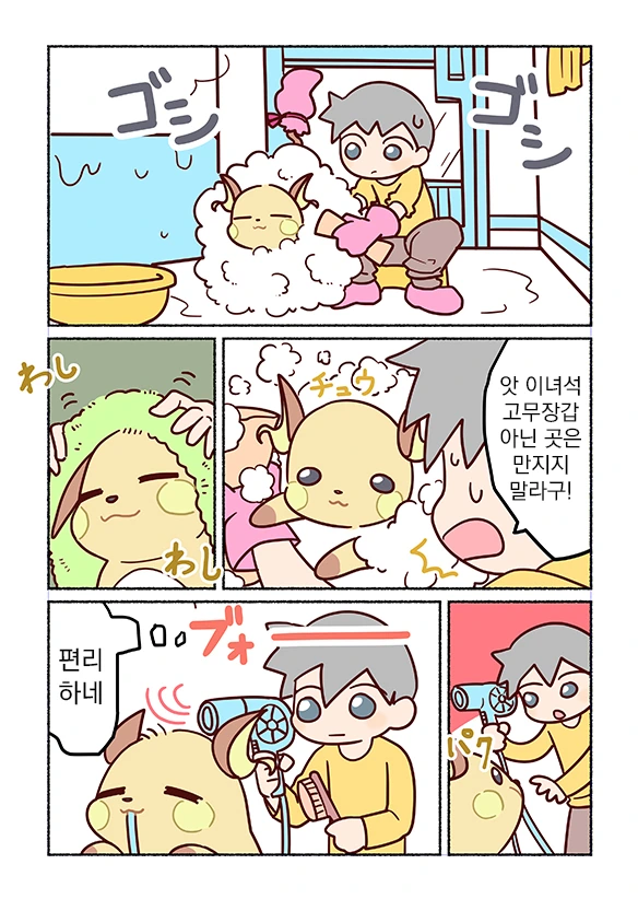 [번역] 라이츄와 함께 생활하는 만화 - 이미지 2