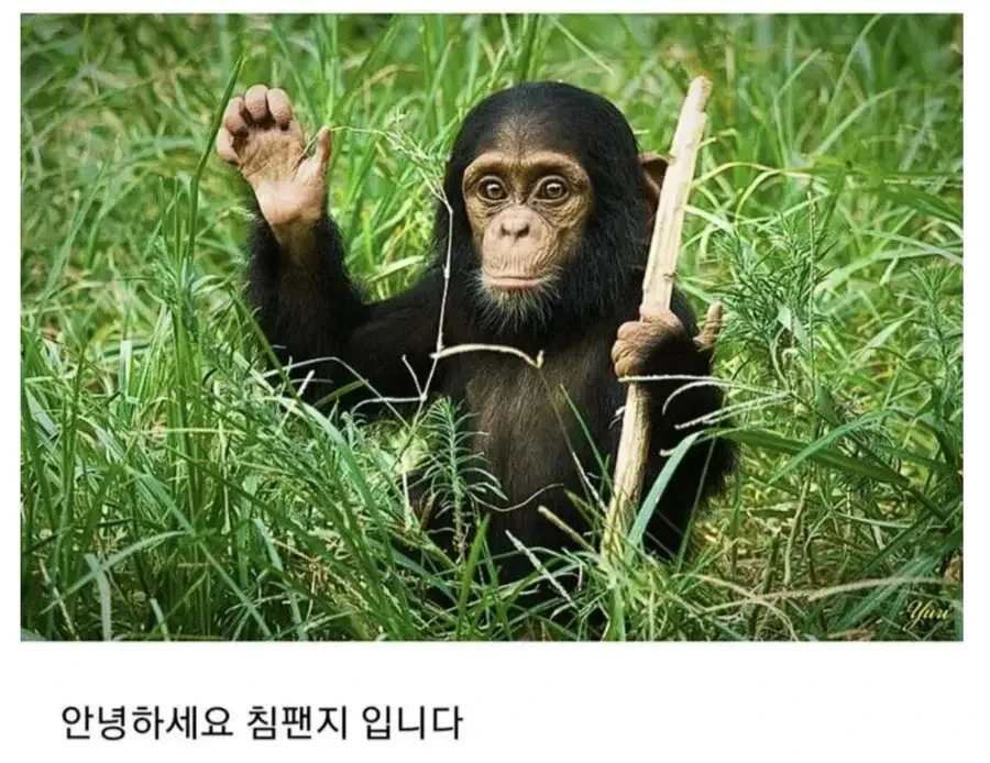 보이쉬한 여자애로 ㄸ치는 만화 - 이미지 9