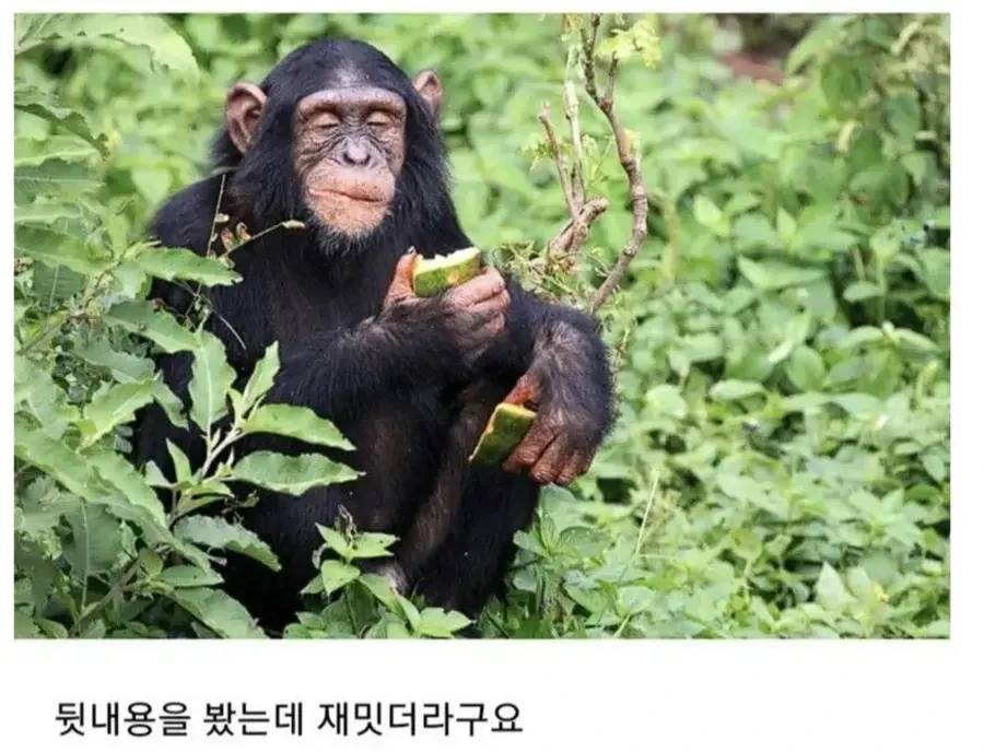 보이쉬한 여자애로 ㄸ치는 만화 - 이미지 10