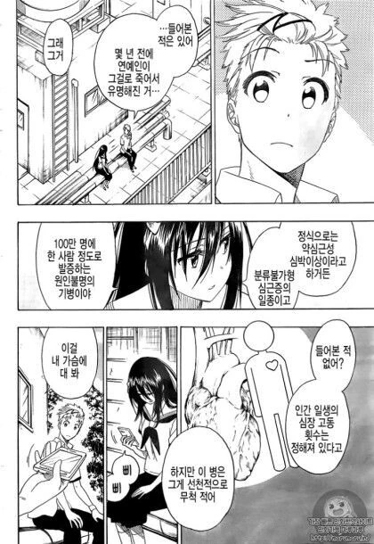토키도키 (니세코이 작가).manhwa - 이미지 8