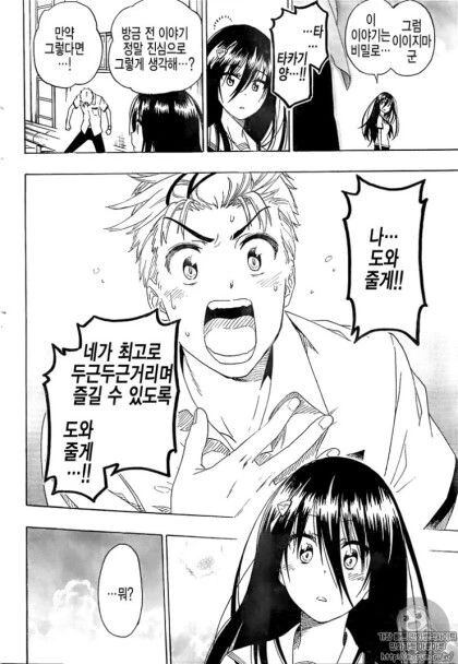 토키도키 (니세코이 작가).manhwa - 이미지 12