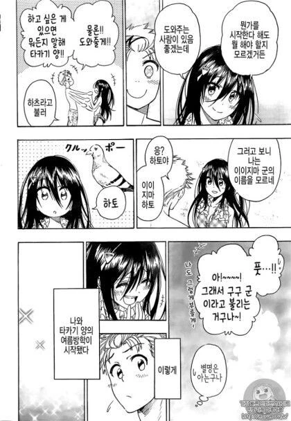 토키도키 (니세코이 작가).manhwa - 이미지 16