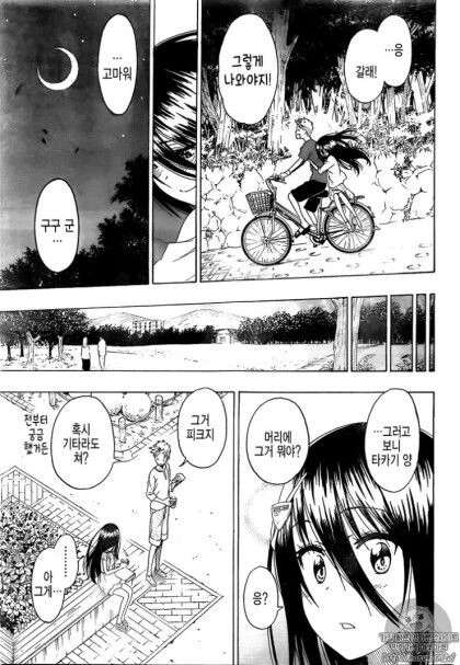 토키도키 (니세코이 작가).manhwa - 이미지 25