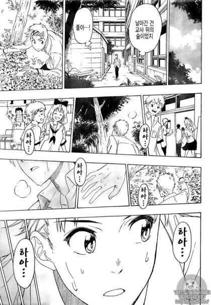토키도키 (니세코이 작가).manhwa - 이미지 37