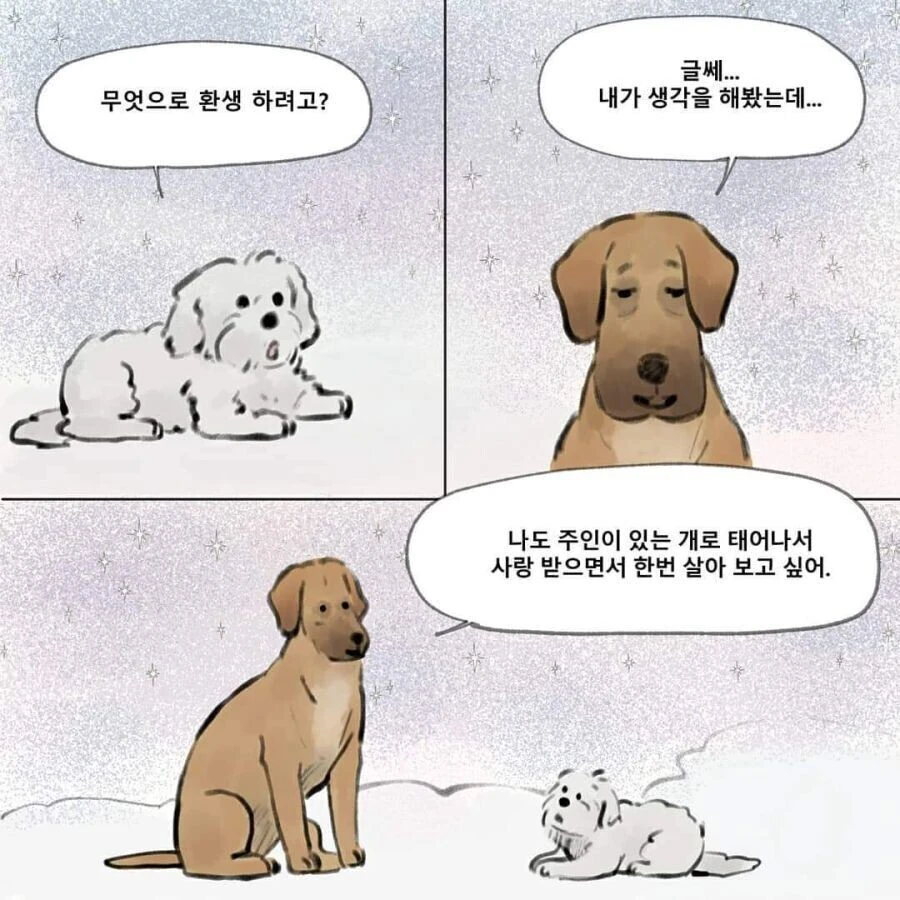 강아지가 환생하는 만화.manhwa - 이미지 2