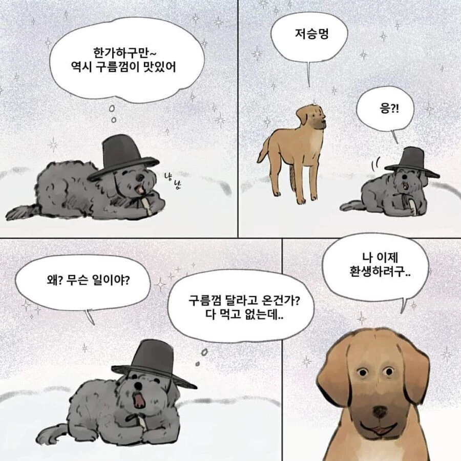 강아지가 환생하는 만화.manhwa - 이미지 3