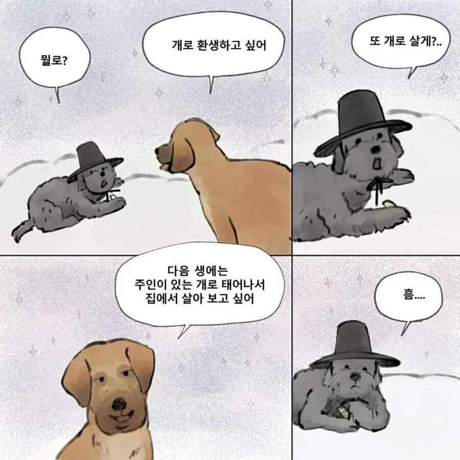 강아지가 환생하는 만화.manhwa - 이미지 4