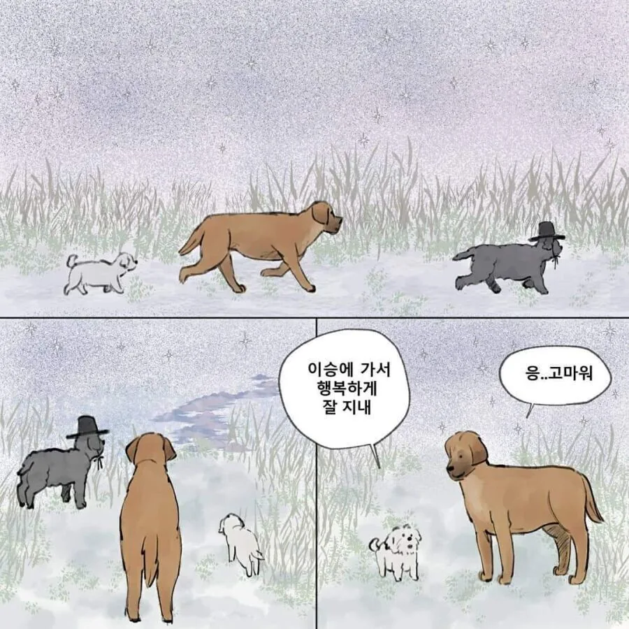 강아지가 환생하는 만화.manhwa - 이미지 5