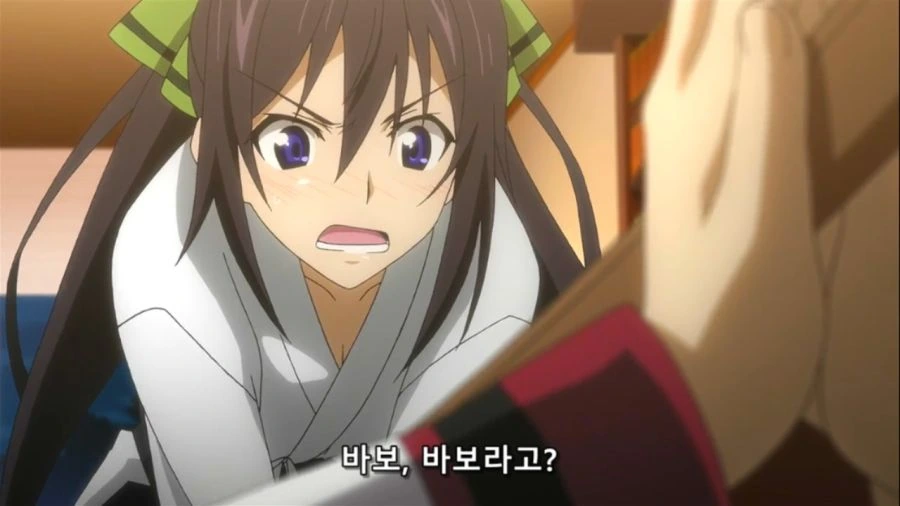 [인피니트스트라토스]히로인의 분노