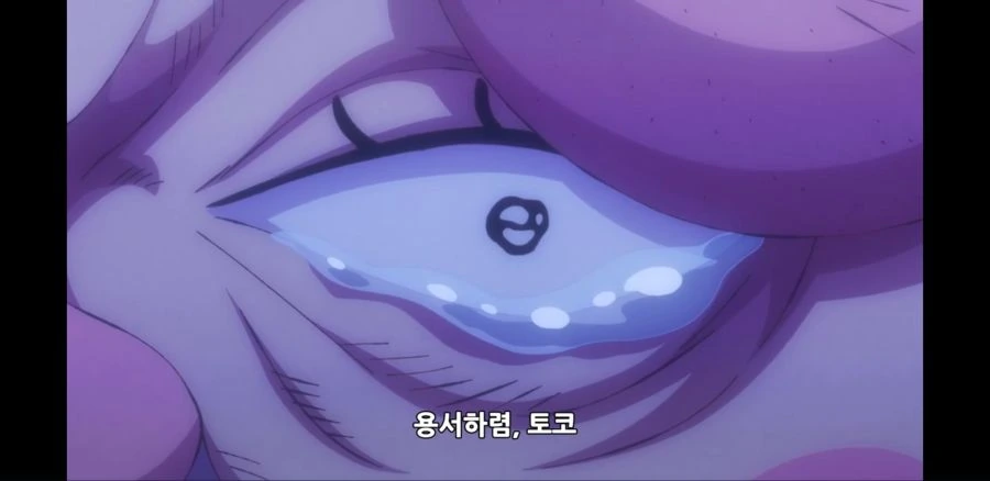 원피스) 저희는 기분과 상관없이 웃는 병이 있어요 - 이미지 10