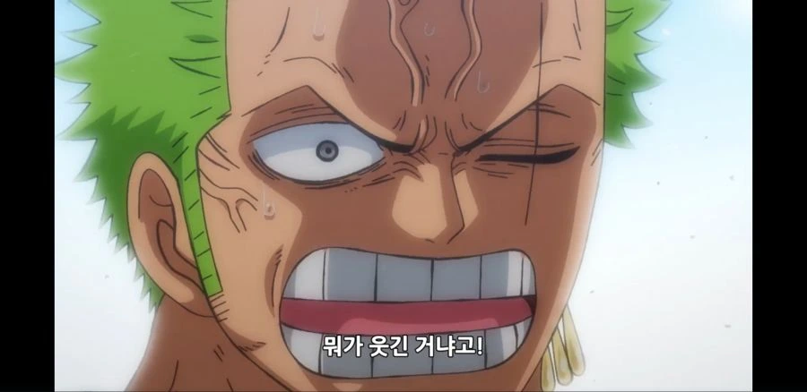 원피스) 저희는 기분과 상관없이 웃는 병이 있어요 - 이미지 29