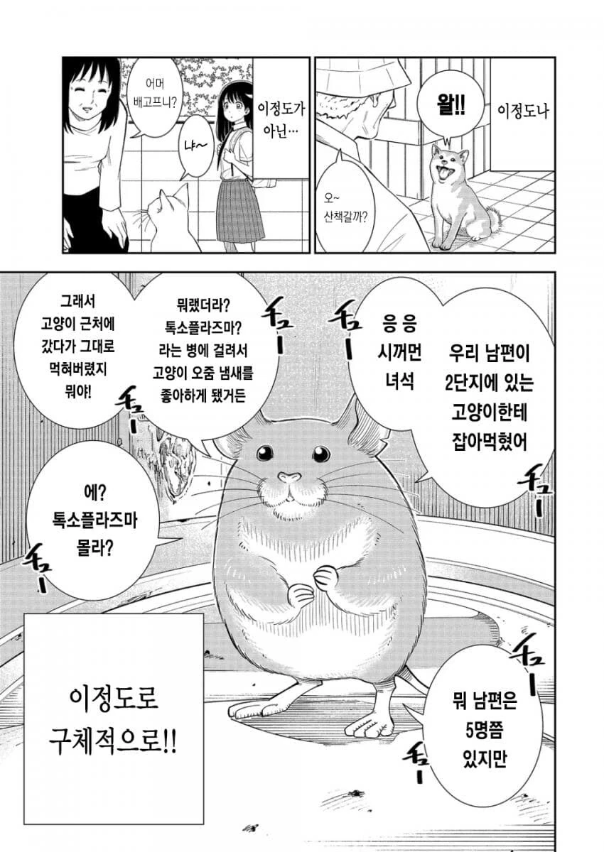 조현병 처녀...manhwa - 이미지 4