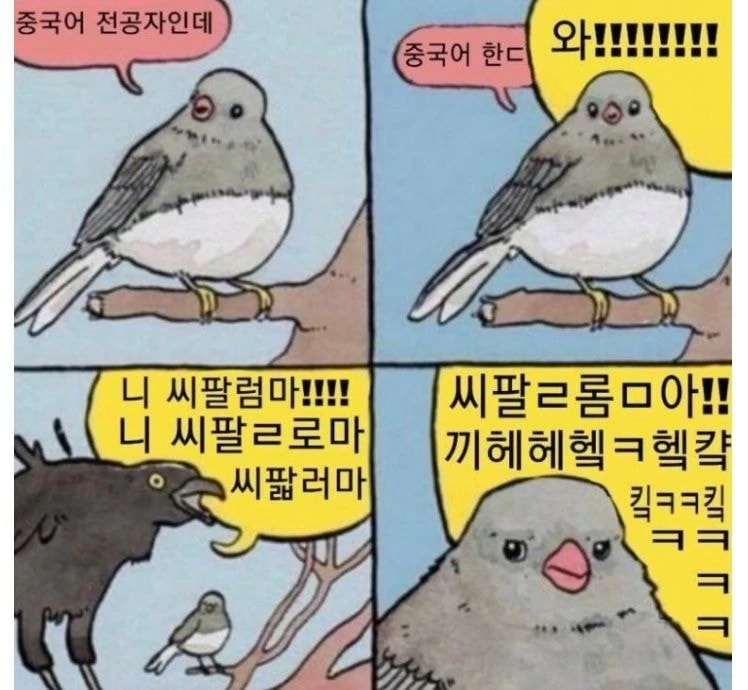 중국어 전공자 특징 manhwa