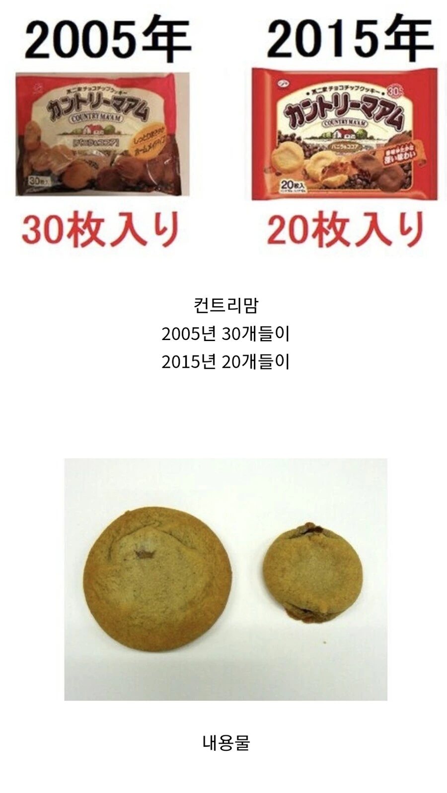 [말딸] 떼이오가 알려주는 공룡이 멸종한 이유.manga - 이미지 2