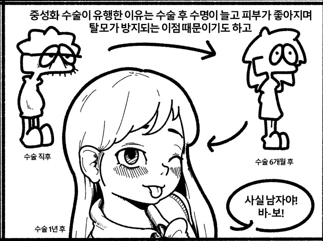 중성화수술 하는 남자.manga
