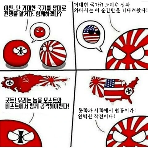 독일 폴란드볼 만화 - 이미지 3