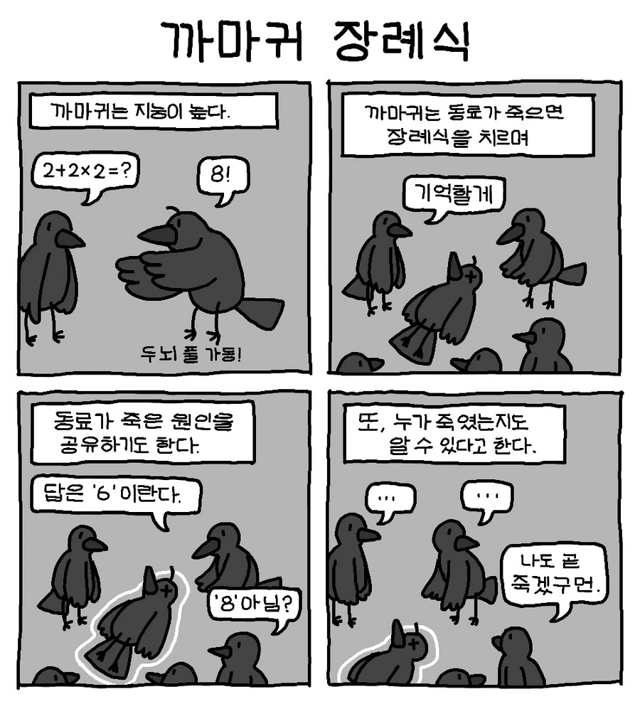 4컷 만화 모음.jpg