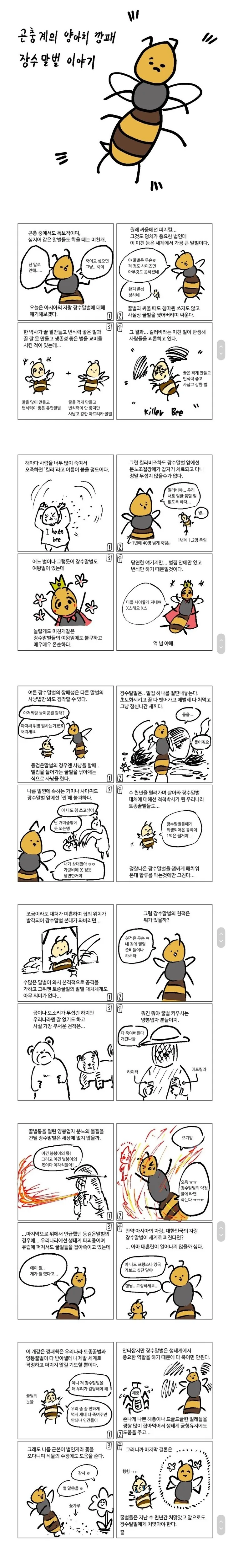 장수말벌에 대해 알아보는 만화